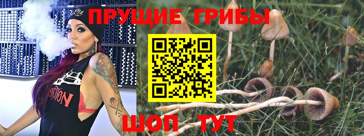 Тимашёвск  Галлюциногенные грибы мицелий  Вход с VPN 